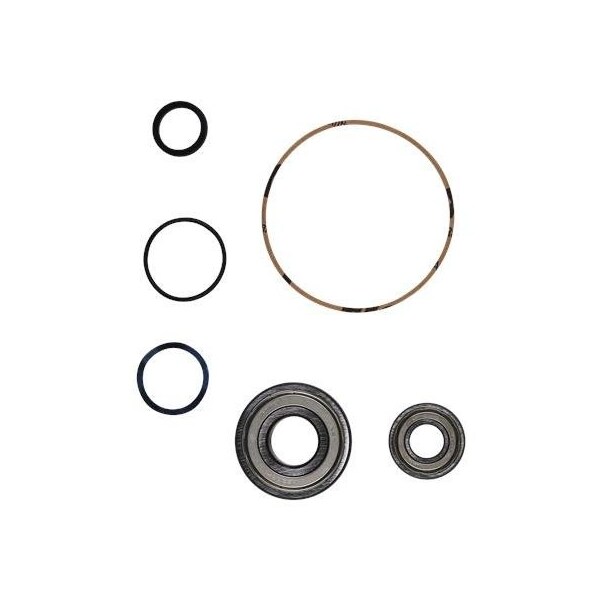 Pump Repair Kits- Kit, Ball Bearing 6306.HYB/6204.HYB, Spare Part.